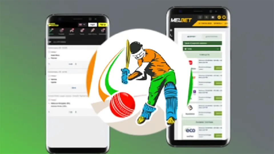 cricket betting app