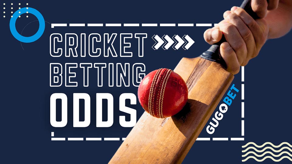 cricket match odds today